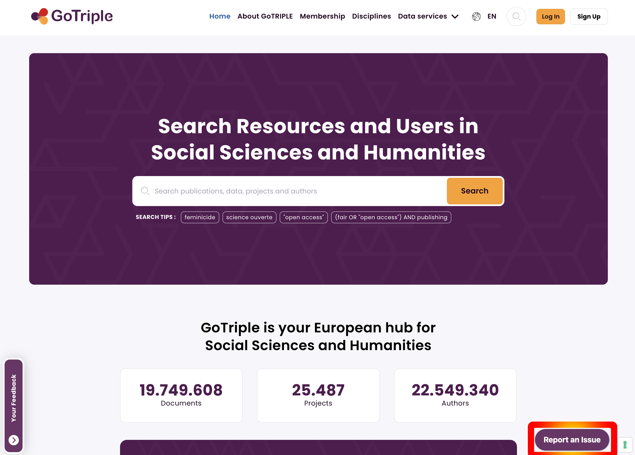 Report an Issue button on GoTriple website